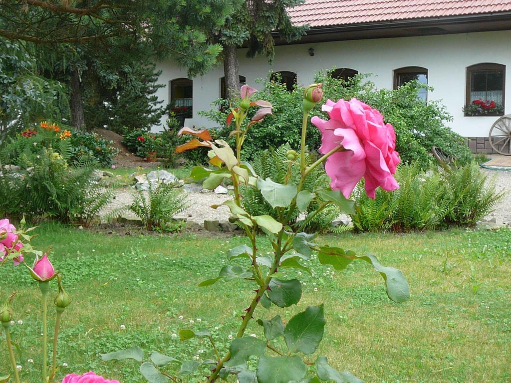 La Ferme De Sissi Apartman Smržice Kültér fotó